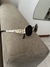 GAFAS SOSU - comprar online