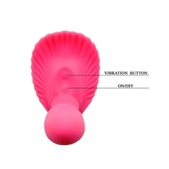 FANCY CLAMSHELL en internet