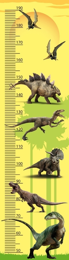 MEDIDOR INFANTIL SELVA