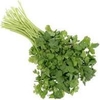 Cilantro 500g