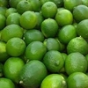 Limón con semilla 500g