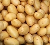 Papa 500g
