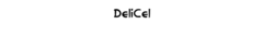 Banner de la categoría Delicel