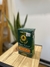 Yerba canarias edicion especial 500g