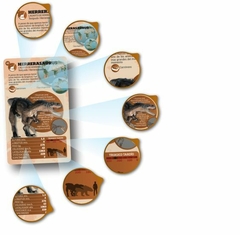 Dinosaurios Cartas Enciclopédicas Luminias - El Arca del Juguete