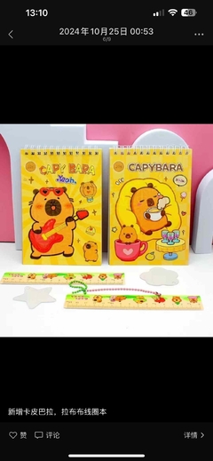 Libro de bobinas de pegatinas 5 en 1 五合一贴纸线圈本 - comprar online