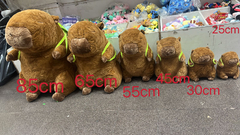 kabibala 65cm 65厘米 en internet