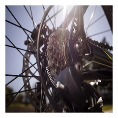 BICICLETA RENAULT R29 T:L - comprar online