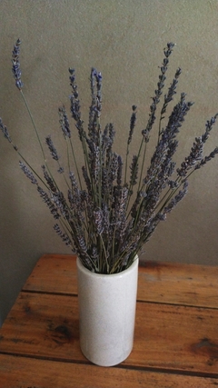 Combo Lavanda - comprar online