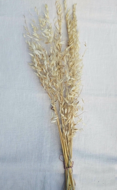 Ramo de avena