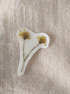 Stickers de flores naturales margaritas en internet