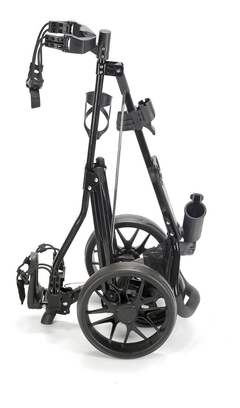 Carro De Golf 3 Ruedas Manual Carrito Caddy Buddy Flex - Stick Argentina