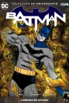 BATMAN: CONDADO DE GOTHAM
