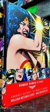 GRANDES AUTORES DE WONDER WOMAN: WILLIAM MESSNER-LOEBS Y MIKE DEODATO JR. - EL TORNEO
