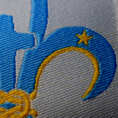 Insignia de Promesa de la federación Scouts en internet