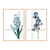 Cuadros Combo Blue Flower