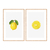 Cuadros Combo Limon - comprar online