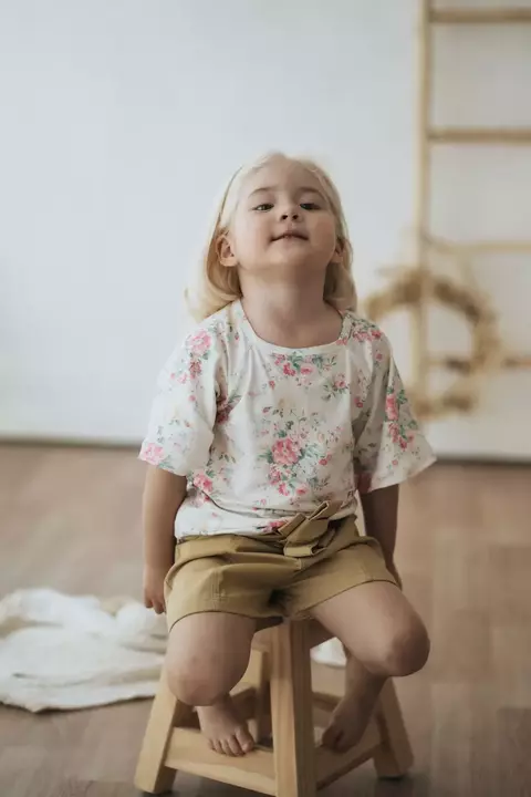 Remera indica