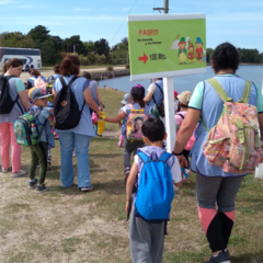 Actividades para Escuelas y Familias en internet