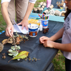 Actividades para Escuelas y Familias - Bosque Encantado MCH