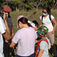 Imagen de Actividades para Escuelas y Familias