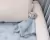 Naninha Bebê Ursinho Estrelinha Azul - Buba na internet