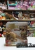 Dinosaurio Con Luz y sonido Tiranosaurio, Velociraptor, Spinosaurus, triceratops, Tyrannosaurus rex - tienda online