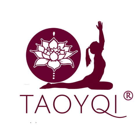 TaoyQi Shop
