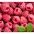 frambuesas plantas x 10 en internet