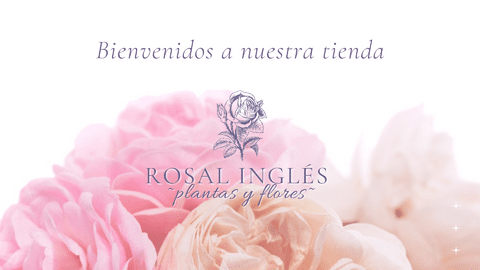Carrusel Rosal Inglés