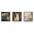 Quadro Trio Flores Brancas 2 - comprar online