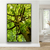 Quadro Árvore Castanheira