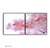 Quadro Flores De Cerejeira - comprar online