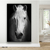 Quadro Cavalo Branco no Fundo Escuro