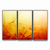 Quadro Dente de Leão No Pôr Do Sol - comprar online