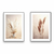 Quadros Capim Dos Pampas 2