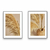 Quadros Capim Dos Pampas 0.23