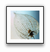 Quadro Flor - comprar online