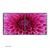 Quadro Flore Dália - comprar online