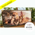 Quadro (120x60) C/ vidro Moldura Caixa imbuia - comprar online