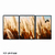 Quadro Capim Dos pampas 0.3