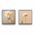 Quadro Flores Peônia - comprar online