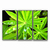 Quadro Folhas Verdes