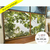 Quadro (200x100) C/ vidro Moldura Caixa Cerejeira - comprar online