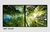 Quadro Arvores Visto De Baixo 0.2 - comprar online