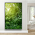 Quadro Floresta Tropical