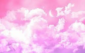 Banner de la categoría CAT BUCKET SIN TAG