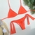 Biquíni cortininha - Litane - Agnes Moda Praia