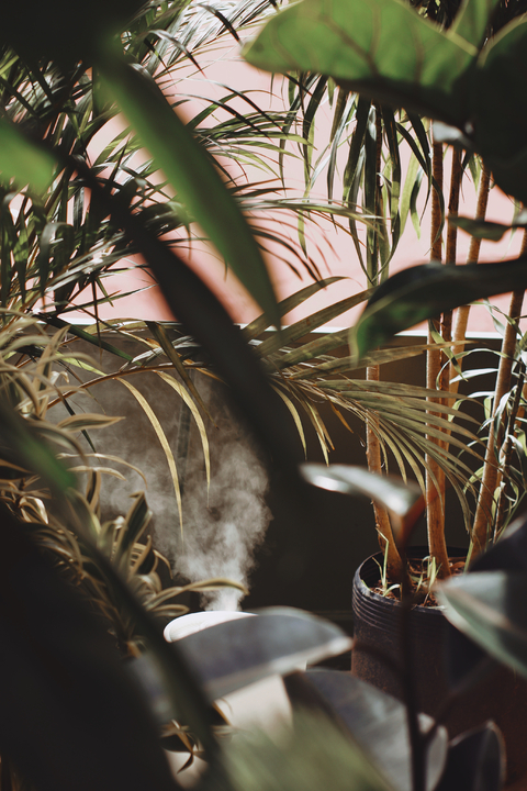 Banner da categoria Produtos