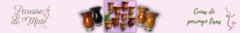 Banner da categoria Lisas